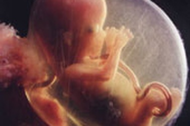 Những biến chứng thai nghén nguy hiểm 