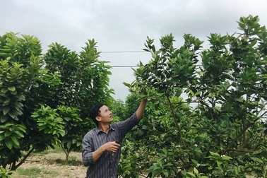 Anh nông dân “khùng” bỏ nhà ra đồng làm trang trại thu tiền tỷ