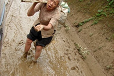 Ám ảnh những gương mặt người sau lũ!