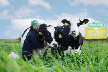 Đại gia chi 6.000 tỷ đồng đầu tư "thiên đường bò sữa" ở Gia Lai