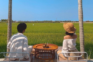 2 quán cà phê view "cánh đồng bất tận", quanh năm thơm mùi lúa ở Hội An