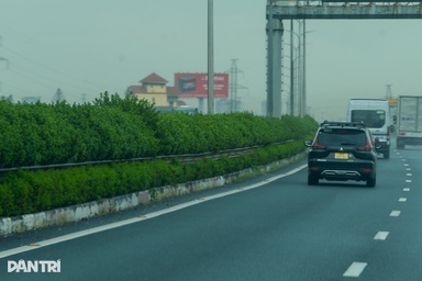 Trồng cây xanh trên cao tốc: Tưới nước tự động, cơ giới hóa việc cắt tỉa