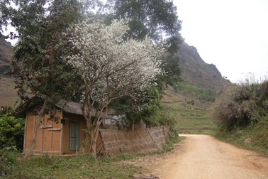 Chặn xe máy để cướp đồ của một cô giáo 