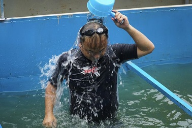 Chuyên gia Nhật Bản tắm sông Tô Lịch gửi lời cảm ơn Thủ tướng