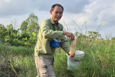 Cán bộ nghỉ hưu "ném tiền qua cửa sổ" thu hàng trăm triệu đồng/năm