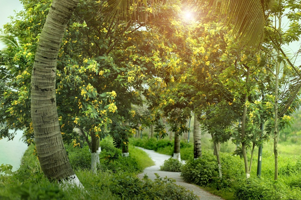 Bình minh có ‘bất cứ đâu’ tại khu đô thị ven Hà Nội - 5 Bình minh có ‘bất cứ đâu’ tại khu đô thị ven Hà Nội - 5