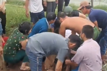 Vận hành quạt nước đầm tôm, ông chủ bị điện giật tử vong