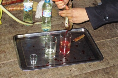 Đến Việt Nam, xin đừng uống tiết rắn!