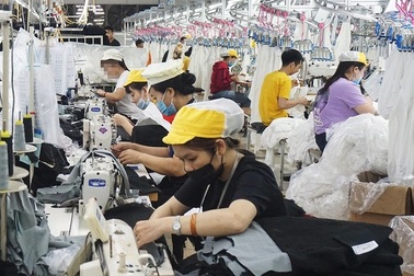 Chưa có đơn vị đề nghị hỗ trợ đào tạo duy trì việc làm cho người lao động