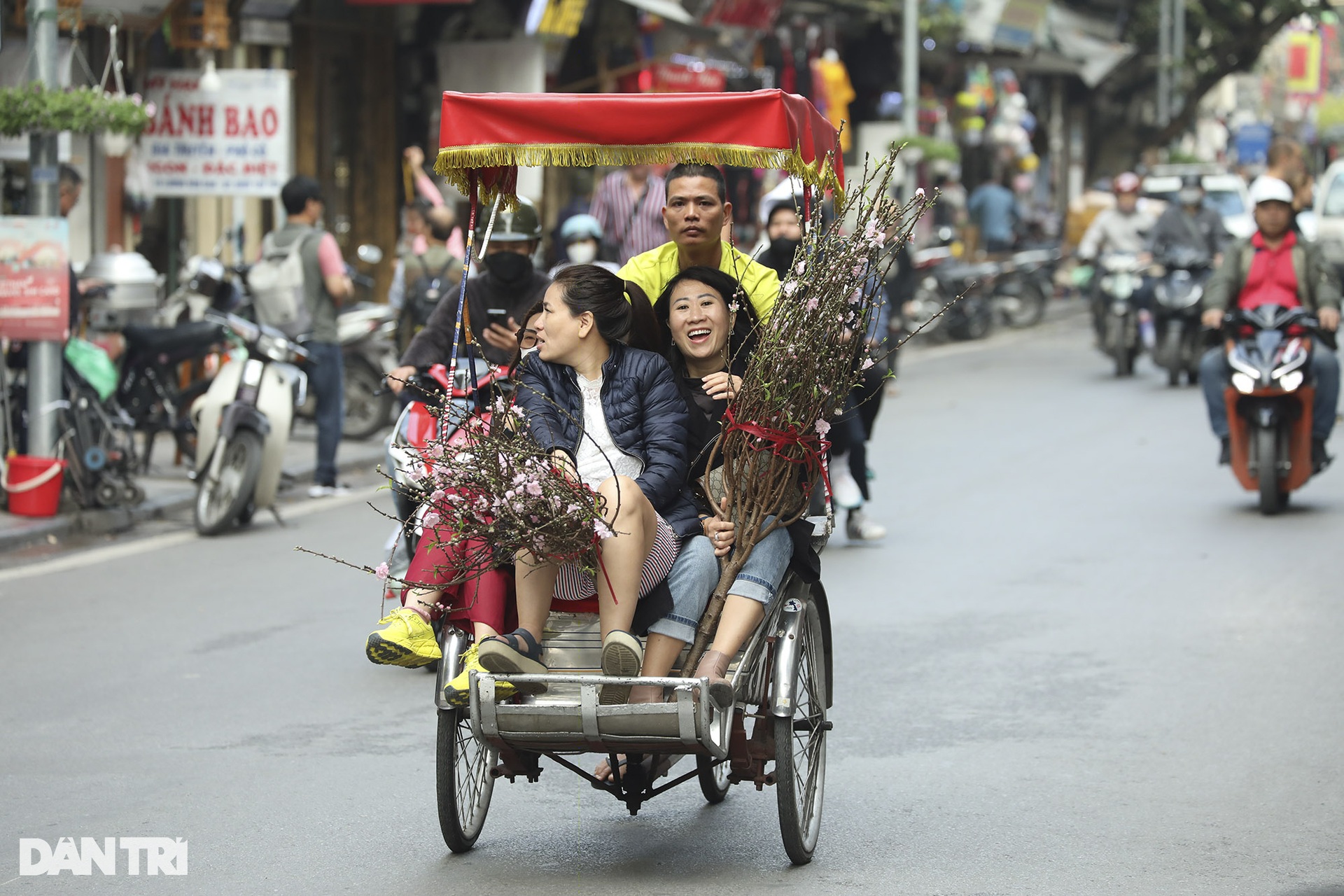 Hoa đào xuống phố báo hiệu xuân đang về - 2