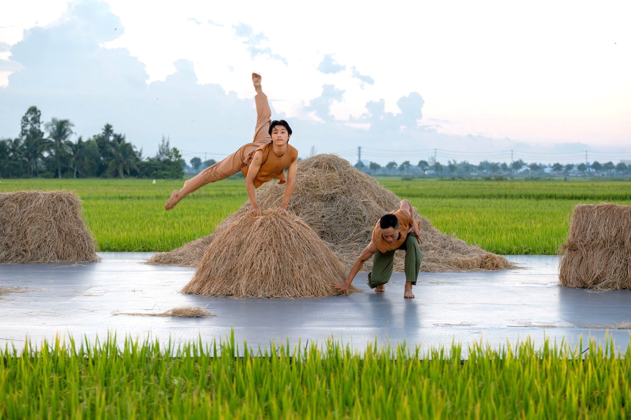 View - Múa đương đại giữa cánh đồng lúa chín vàng Hội An | Báo Dân trí