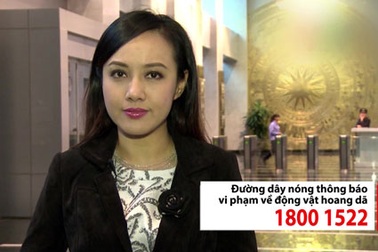 Biên tập viên Hoài Anh lên tiếng đấu tranh nạn buôn bán trái phép tê tê