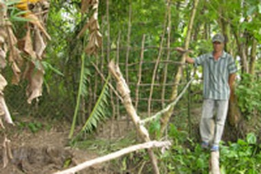 Chủ lò mổ giải quyết ô nhiễm bằng… rào đường