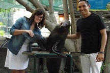 Cặp du khách phải ngồi tù vì quan hệ trước hôn nhân