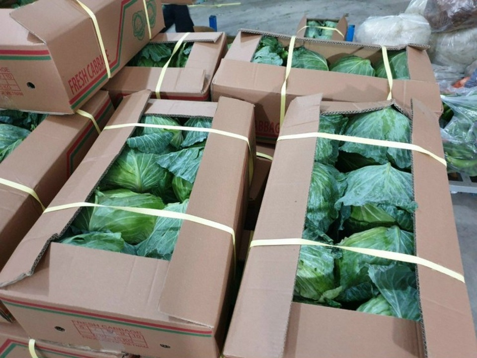 Ác mộng vì dịch: Doanh nghiệp rầu ruột, cả núi nông sản chưa biết đổ đâu - 3 Ác mộng vì dịch: Doanh nghiệp rầu ruột, cả núi nông sản chưa biết đổ đâu - 3