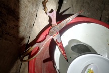 Nghi án chồng giết vợ rồi bỏ trốn