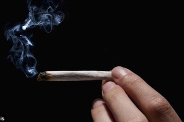 Hút cần sa khi còn thiếu niên làm giảm IQ