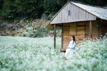 Hoa cải trắng bạt ngàn Mộc Châu, du khách khắp nơi đổ về chụp ảnh