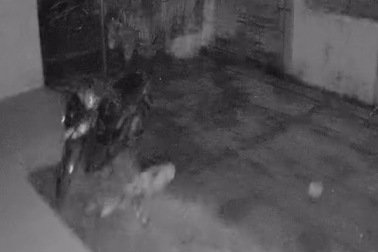 Hình ảnh ghi nhận rung lắc do động đất 4,1 độ tại Thanh Hóa