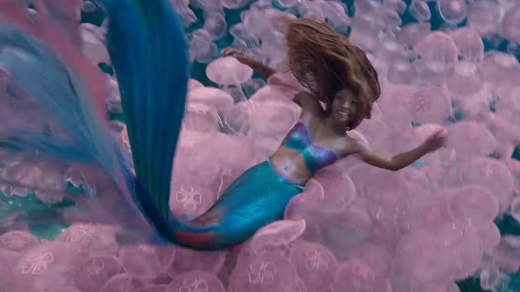 Tạo hình của nàng tiên cá Halle Bailey vẫn khó lấy lòng khán giả - 4 Tạo hình của nàng tiên cá Halle Bailey vẫn khó lấy lòng khán giả - 4