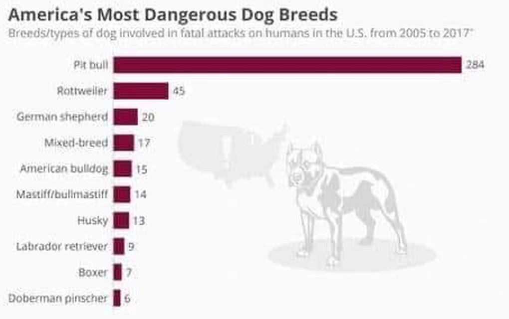 Tính mạng con người không thể trông chờ vào sự tử tế của chó Pitbull! - 4 Tính mạng con người không thể trông chờ vào sự tử tế của chó Pitbull! - 4