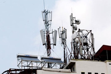 Bị đơn phương chấm dứt hợp đồng, 8 công ty kêu cứu Thủ tướng