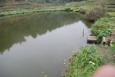 Hai chị em chết thảm dưới ao sâu