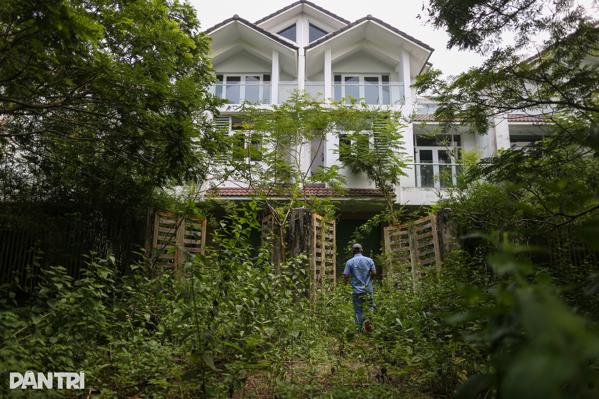 Thành phố ma Nhơn Trạch hoang tàn, thành nơi thả trâu sau 20 năm - 6 Thành phố ma Nhơn Trạch hoang tàn, thành nơi thả trâu sau 20 năm - 6