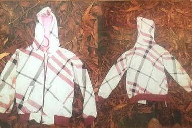 Phát thông báo truy bắt hung thủ giết tài xế taxi