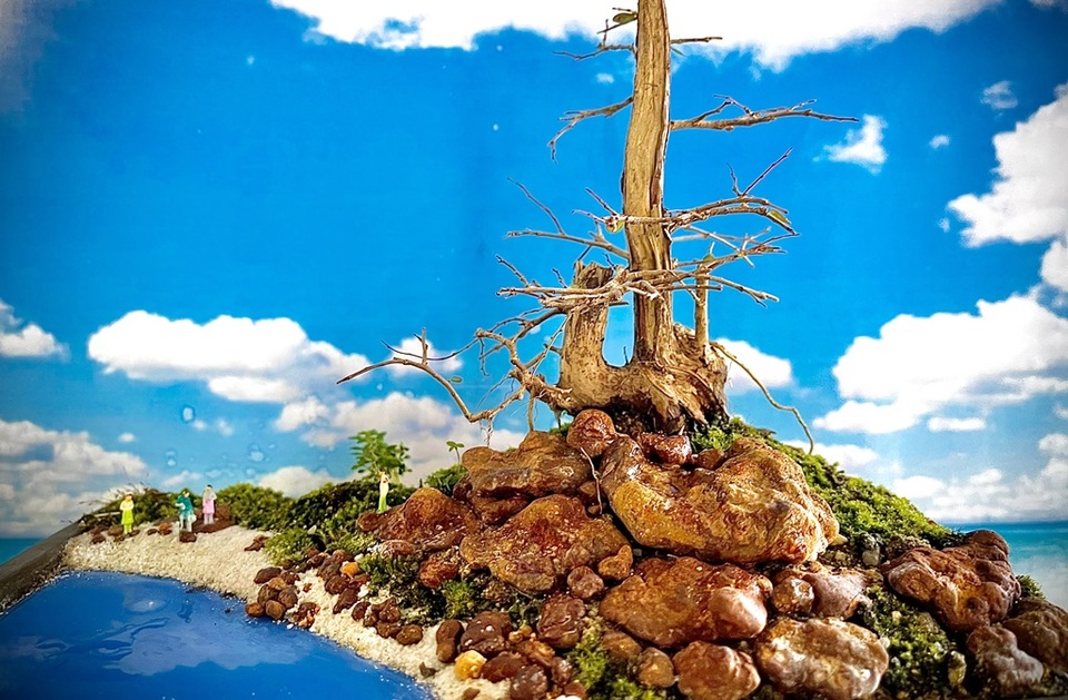 Người đàn ông Nha Trang sở hữu hàng nghìn bonsai, tiểu cảnh mini - 3 Người đàn ông Nha Trang sở hữu hàng nghìn bonsai, tiểu cảnh mini - 3