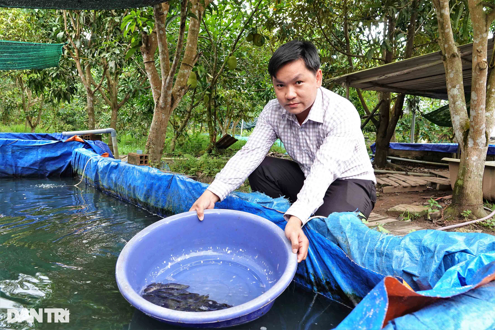 Nuôi loài cá bé nhưng hung hãn, 9X đút túi hơn nửa tỷ đồng mỗi năm - 1 Nuôi loài cá bé nhưng hung hãn, 9X đút túi hơn nửa tỷ đồng mỗi năm - 1