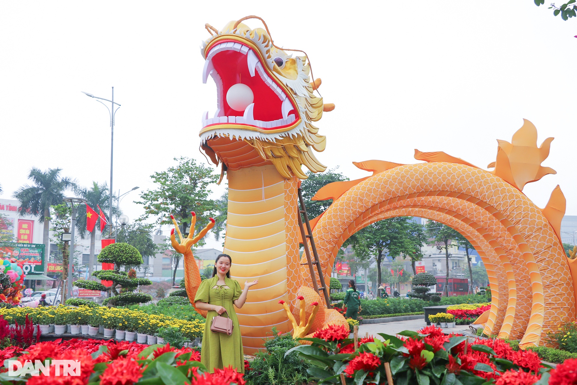 Linh vật rồng Nghệ An vừa trình làng, nhận vô số lời khen - 7 Linh vật rồng Nghệ An vừa trình làng, nhận vô số lời khen - 7