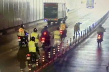 Bò chạy vào hầm vượt sông Sài Gòn, tài xế hoảng hốt