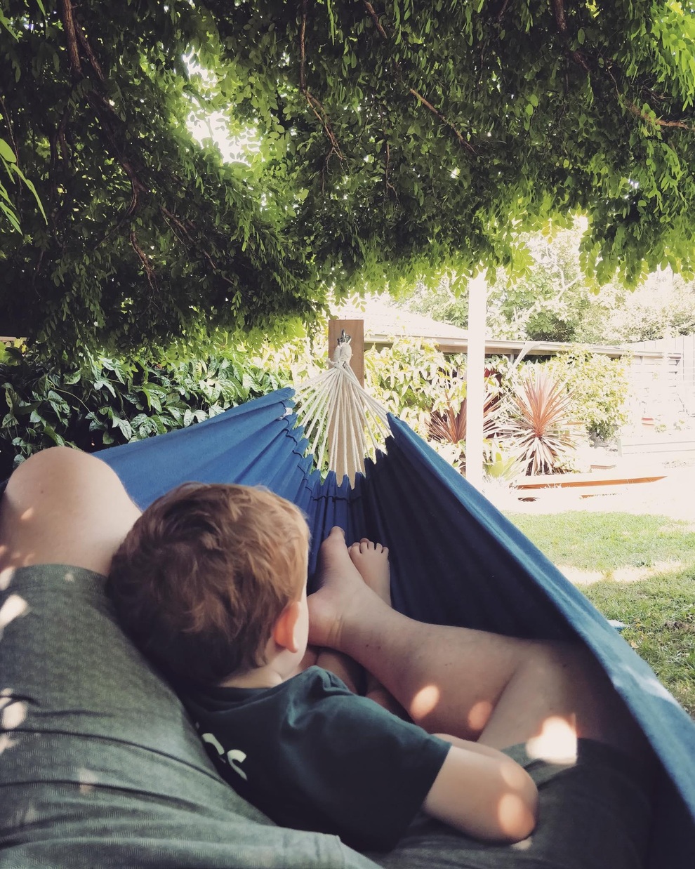 Muốn tự cung tự cấp thực phẩm, người đàn ông làm khu vườn rau, trái sum suê - 5