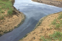 Hồ tôm xả thẳng nước thải ra biển, dân khẩn thiết cầu cứu