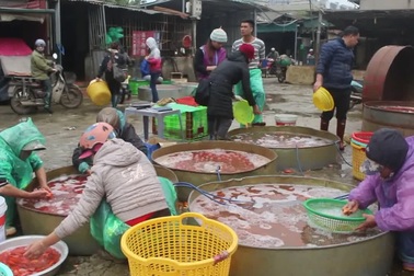 Chợ cá Yên Sở tấp nập mỗi dịp cận Tết ông Công ông Táo.