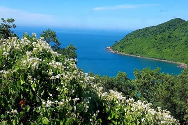 Bạn trai chia tay vì nhà gia đình tôi chỉ sinh được con gái