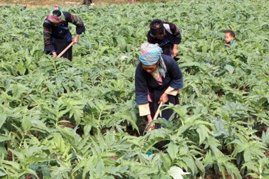 Khẳng định vị thế của sản phẩm thương hiệu Việt