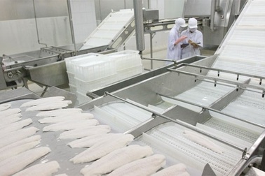 Doanh nghiệp xuất khẩu thiệt hại vì khủng hoảng Hy Lạp