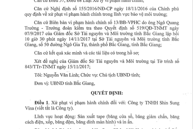 Bắc Giang: Thêm một doanh nghiệp dùng thủ đoạn hủy hoại môi trường sống!