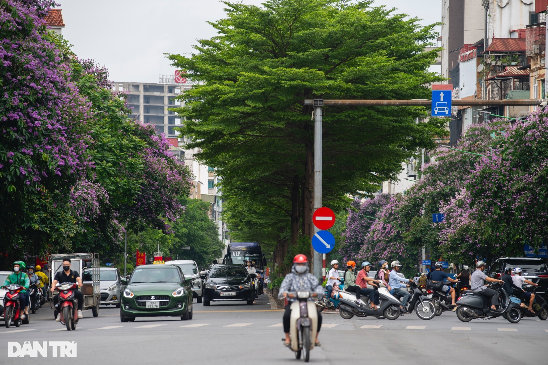 Giới trẻ xin nghỉ làm, tranh thủ thả dáng với hoa bằng lăng ở Hà Nội - 2