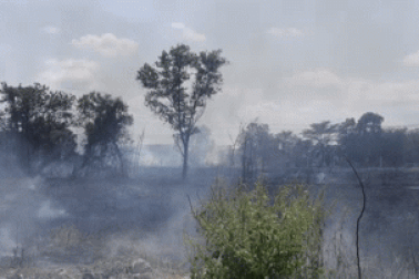 TPHCM: Khói trắng bao phủ quốc lộ, hàng trăm người bịt mũi vượt qua