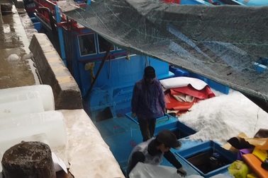 Tàu cá hối hả vươn Trường Sa đánh bắt qua Tết Kỷ Hợi