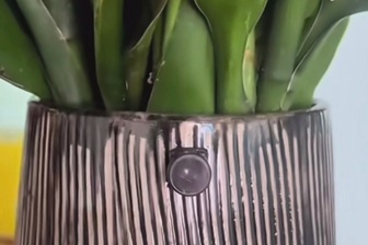 Camera ngụy trang được rao bán công khai: Làm gì để tránh bị quay lén?