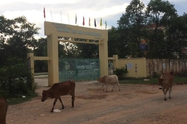 Trường tiểu học Dương Đông 3... chờ đập bỏ