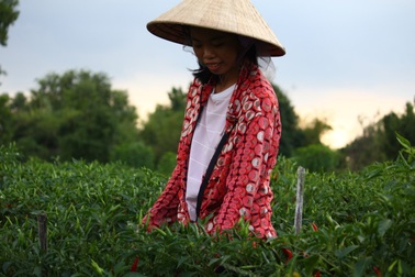 Cùng xây ước mơ mùa 2: Sự trở lại đầy mới mẻ và đậm tính nhân văn