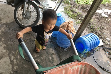 Cay đắng phận trồng rau