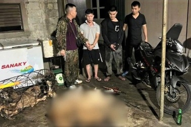 Hai người dùng súng tự chế trộm 9 con chó trong một đêm