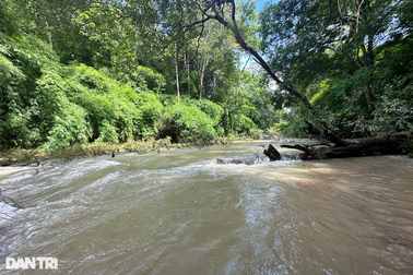 Thông tin về công ty tư vấn lập ĐTM dự án hồ Ka Pét