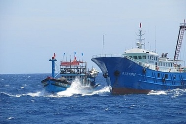 Phản đối hải cảnh Trung Quốc đâm, cướp tài sản tàu cá Việt Nam